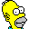 i_homer0.gif (262 bytes)